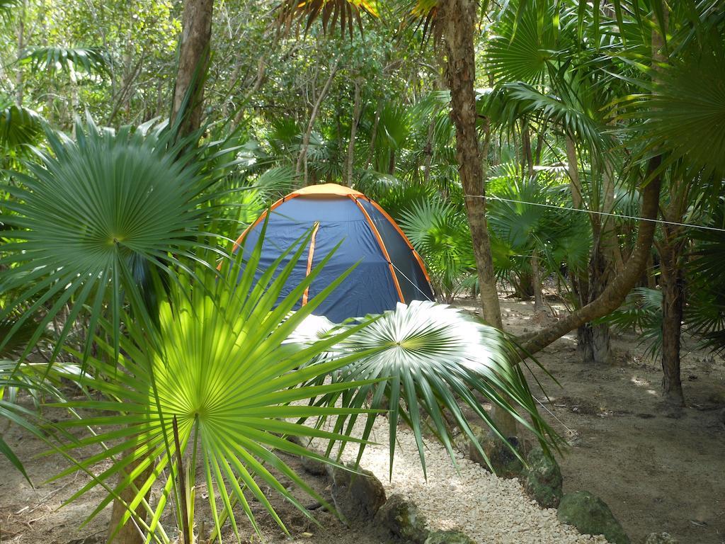 Turquesa Tulum Jungle Camping Hotel Zewnętrze zdjęcie