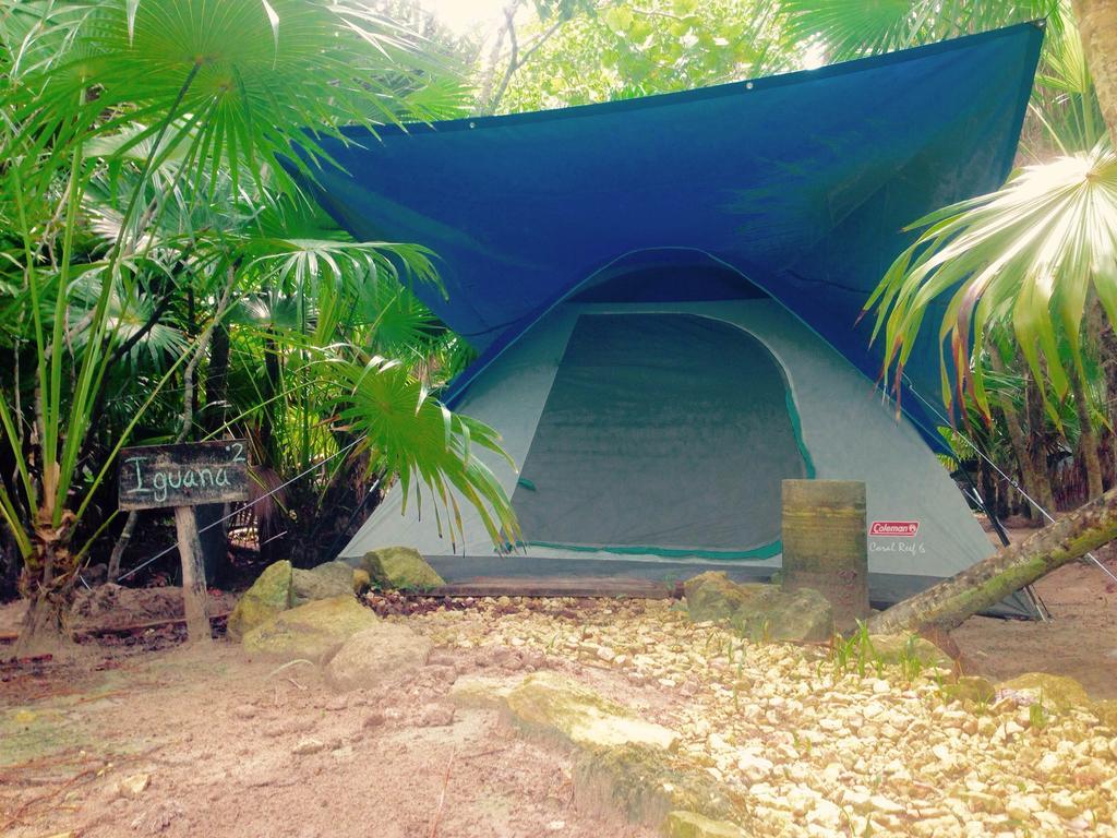Turquesa Tulum Jungle Camping Hotel Zewnętrze zdjęcie
