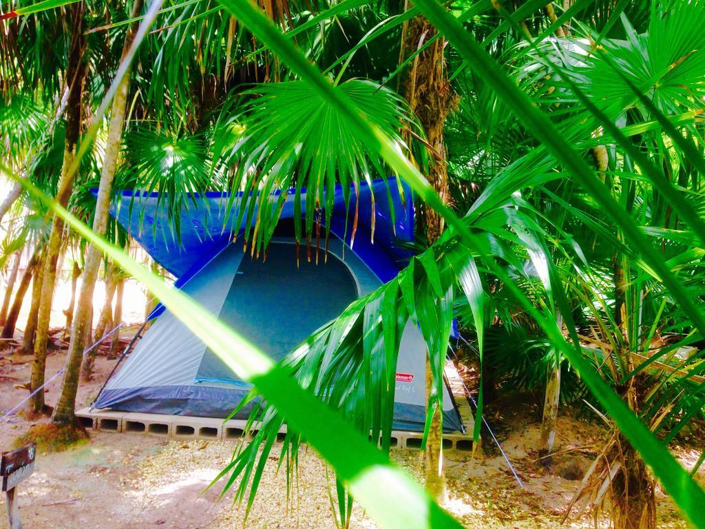 Turquesa Tulum Jungle Camping Hotel Zewnętrze zdjęcie